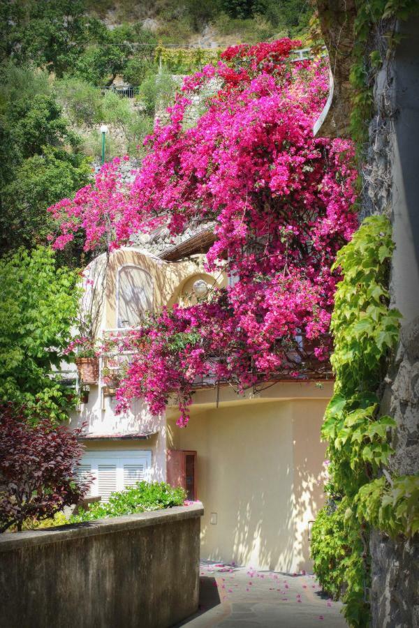 Venus Apartment Positano Dış mekan fotoğraf