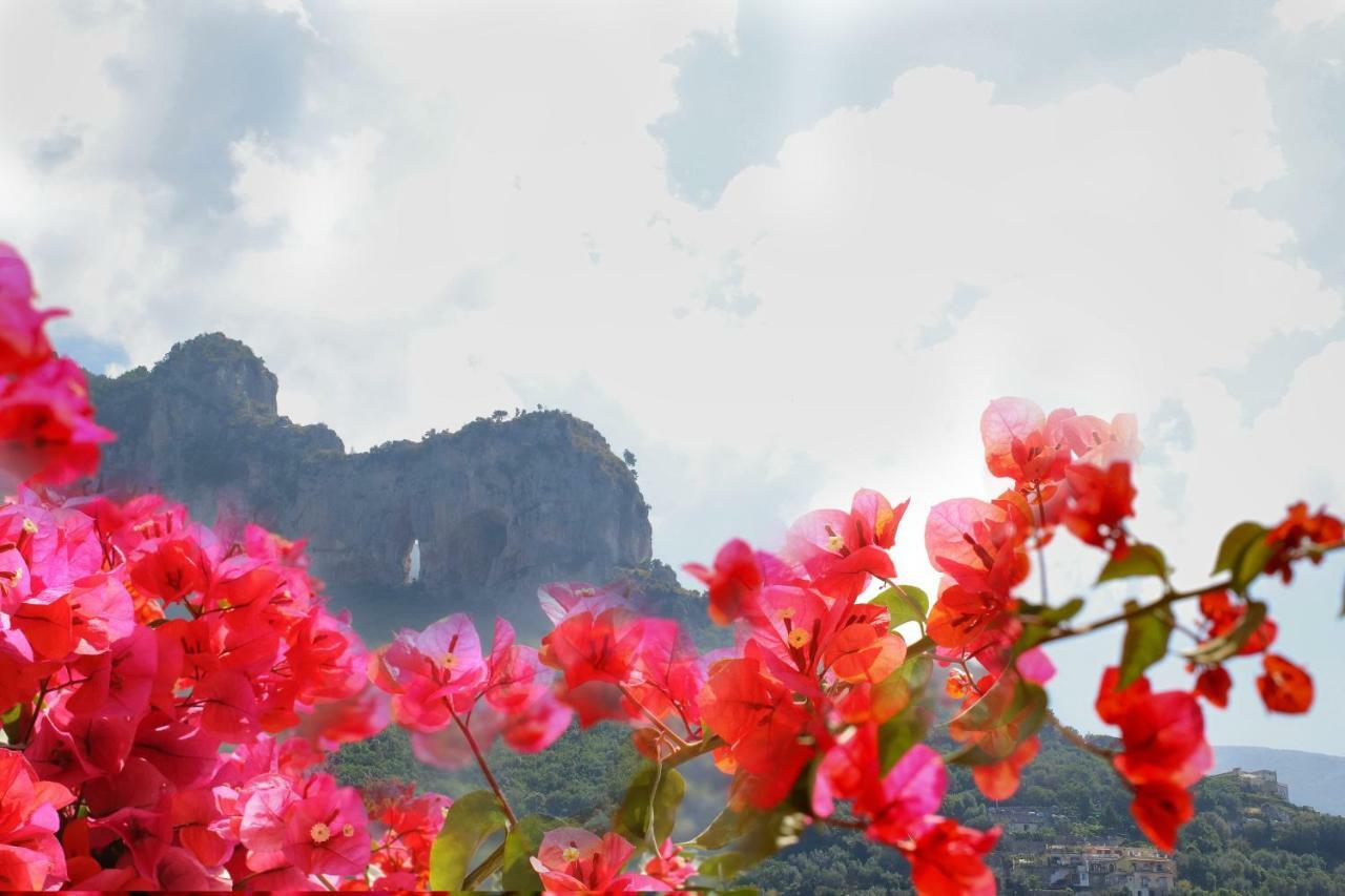 Venus Apartment Positano Dış mekan fotoğraf